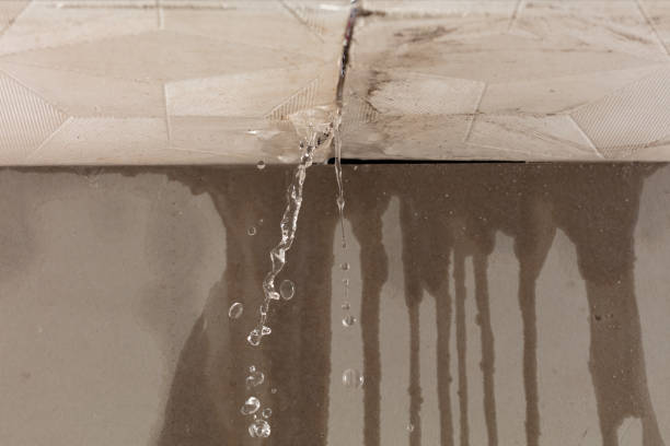 Professional Water Damage Repair technician working in Covington, TX